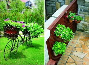 史上最全最美庭院設計,我和我的伙伴們都驚呆了