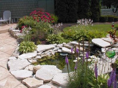 庭院水塘，靈動一方 12套農村庭院水塘設計實例參考